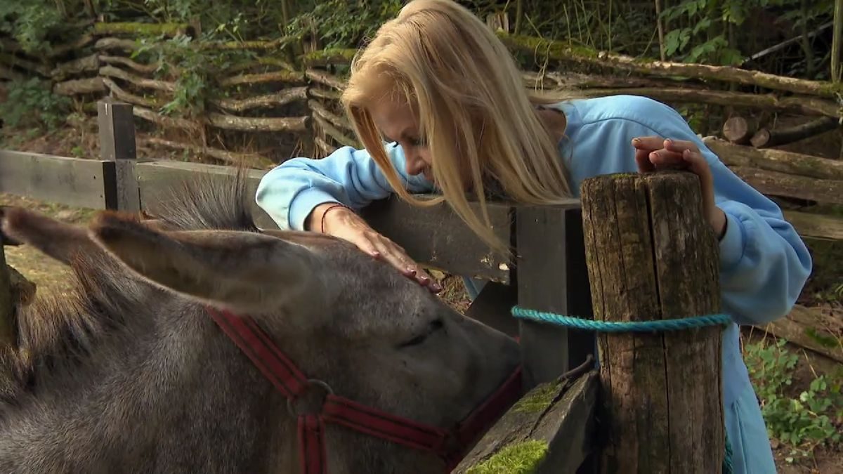 A Farm VIP megrázó eseménye: Polgár Tünde megdöbbentő támadása