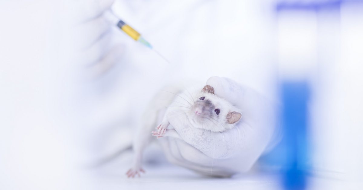 A fény a sötétségben: Patkányok segítik a depresszió leküzdését