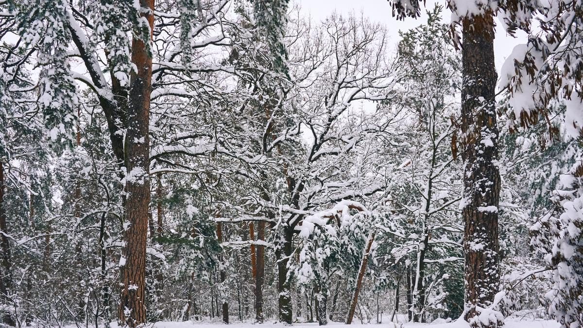 Veszélyes hóviszonyok miatt elkerülendő a népszerű kirándulóhely: kérik az embereket, hogy tartsanak távol