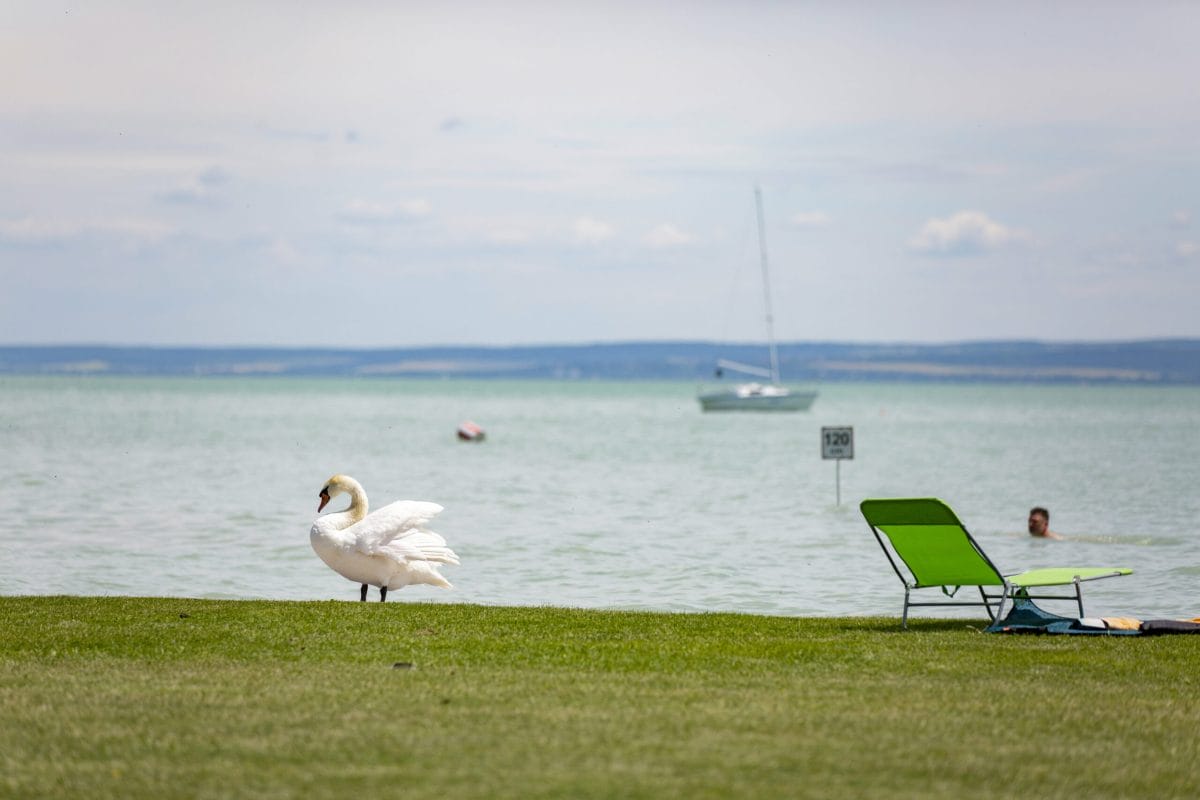 A telkét kotrógépekkel alakította át a Balaton partjává: a tulajdonos hihetetlenül szerencsésnek bizonyul