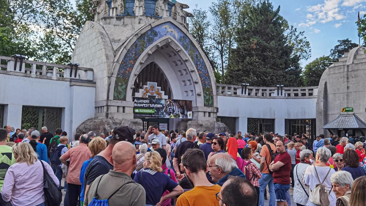 Emlékezetes búcsúzás az első karácsony nélkül: felejthetetlen pillanatok a temetésen