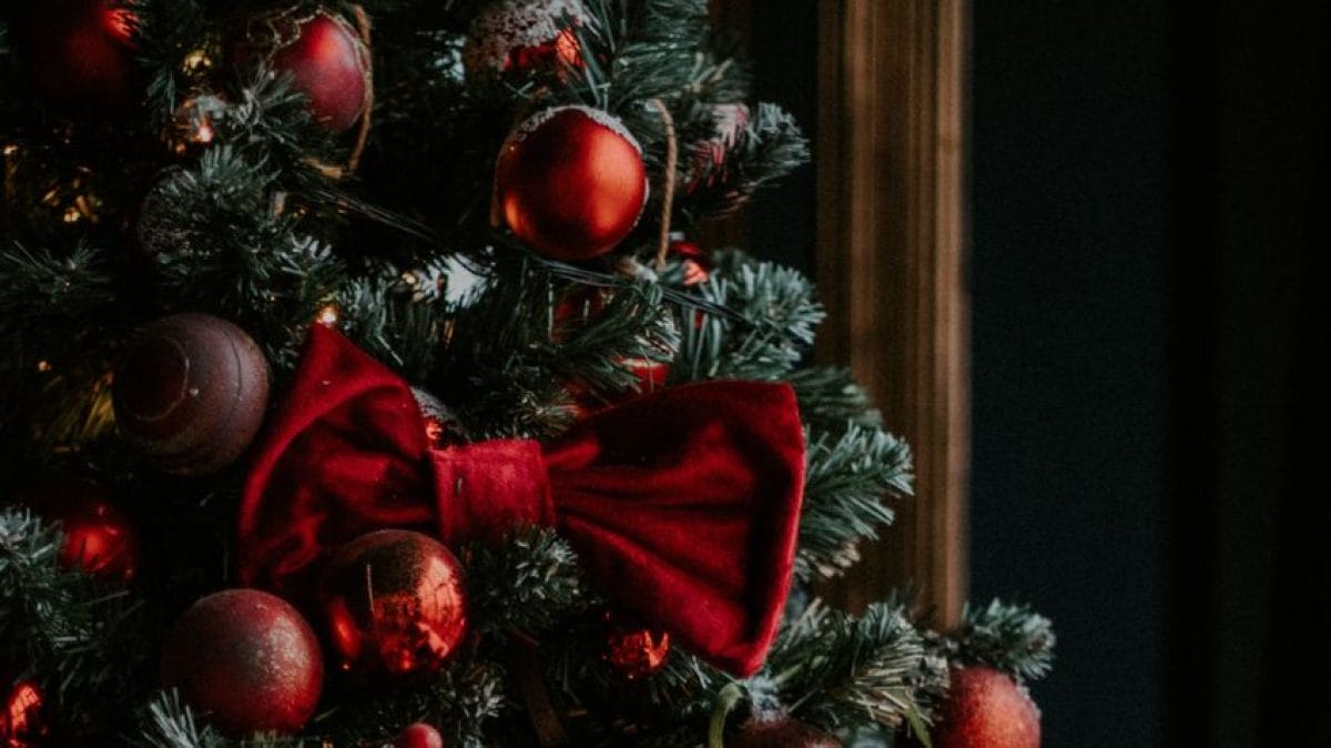 Ismerd meg a leggyakoribb hibákat a karácsonyfával kapcsolatban, és tudd meg, hogyan kerülheted el őket
