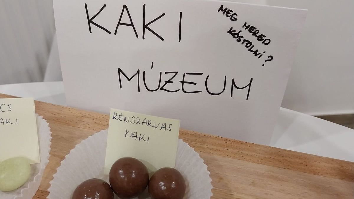 A manóőrület átveszi a hazai színteret: megnyitotta kapuit az első Kaki múzeum