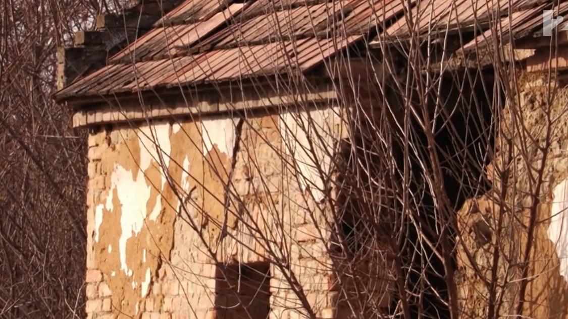 Az embertelen bűncselekmény árnyékában: Kegyetlen gyilkosság Lovászpatonán – Részletek és megrázó videó