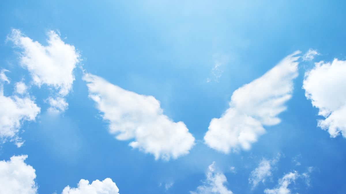 Az angyalok üzenete februárra: Változások és szárnyalás előtt!