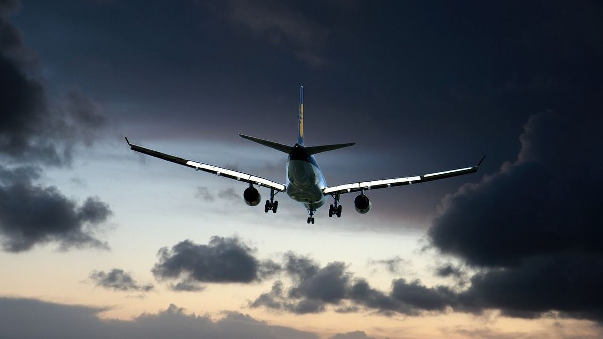 Az utazók rémületben: váratlan vendég okozott káoszt a repülőn – Hihetetlen videó
