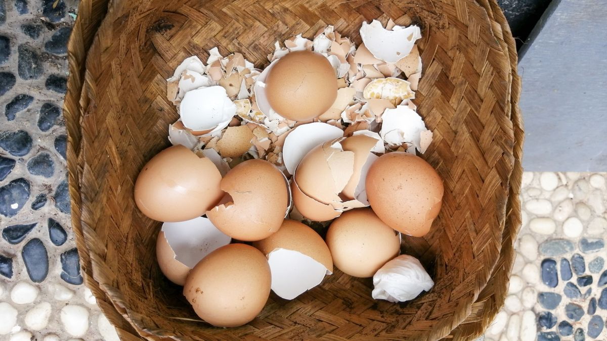 A tojáshéj tavaszi varázsa: Az életmentés hatásos eszköze