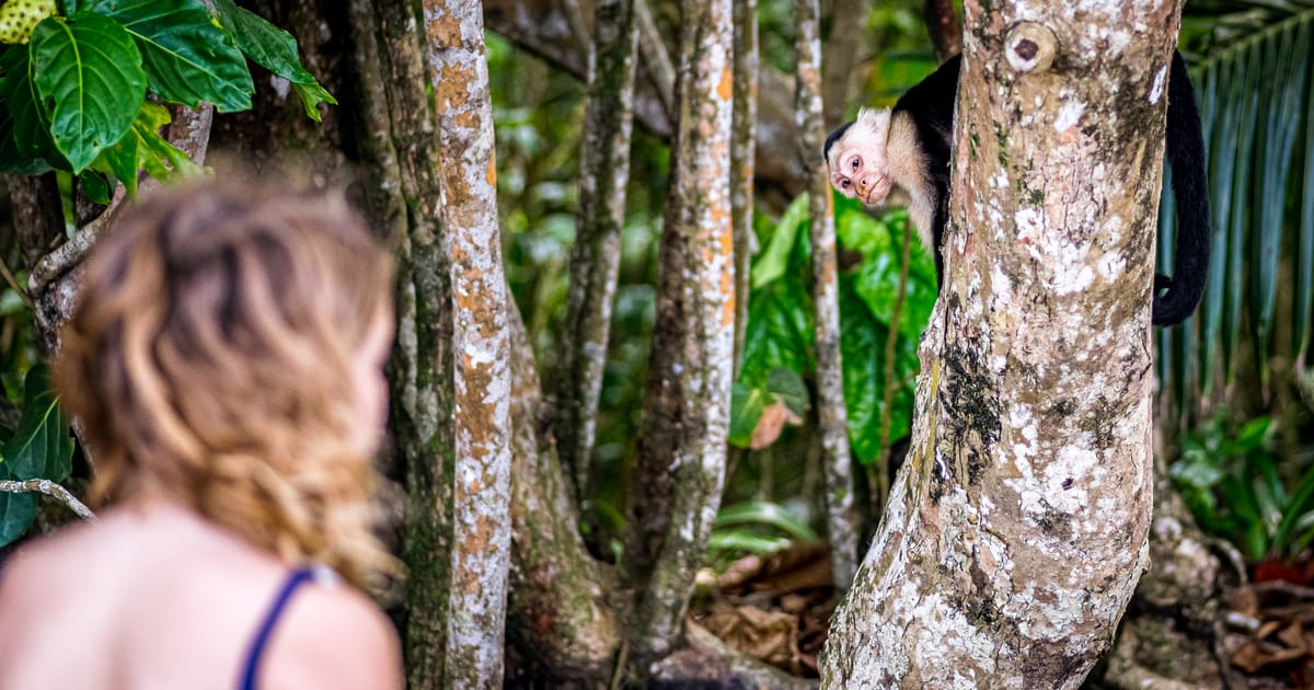 A dzsungel titkai: Egy nő meghökkentő története, akit majmok neveltek fel Kolumbiában