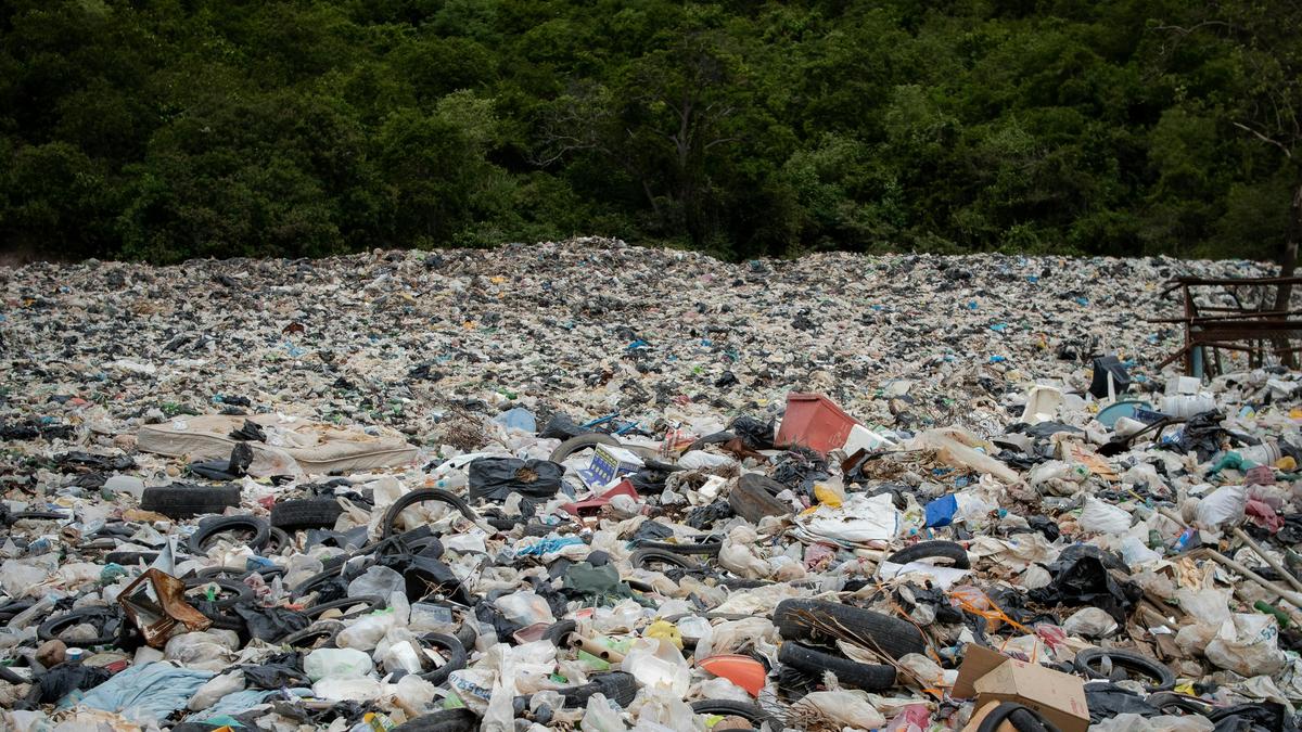 Szemetelés szörnyűsége a szerb–magyar határ mentén: Több tonna hulladék szennyezi az erdőket