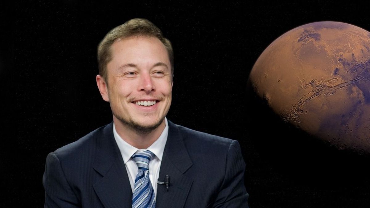 Elon Musk lenyűgöző terve, amely mindenkit meglepett