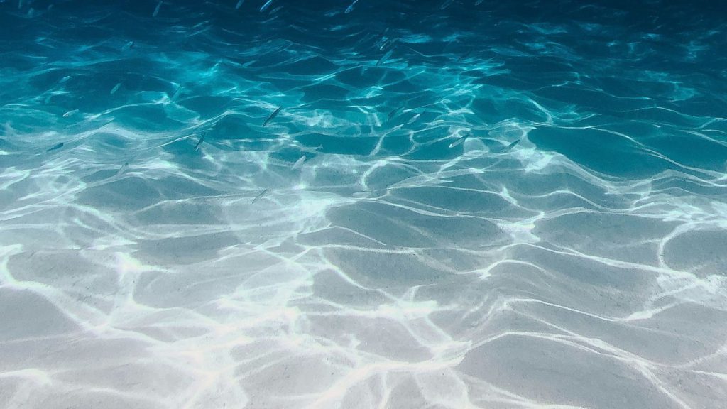 Az óceán mélyén rejtegetett titok, ami még a tudósokat is meglepte