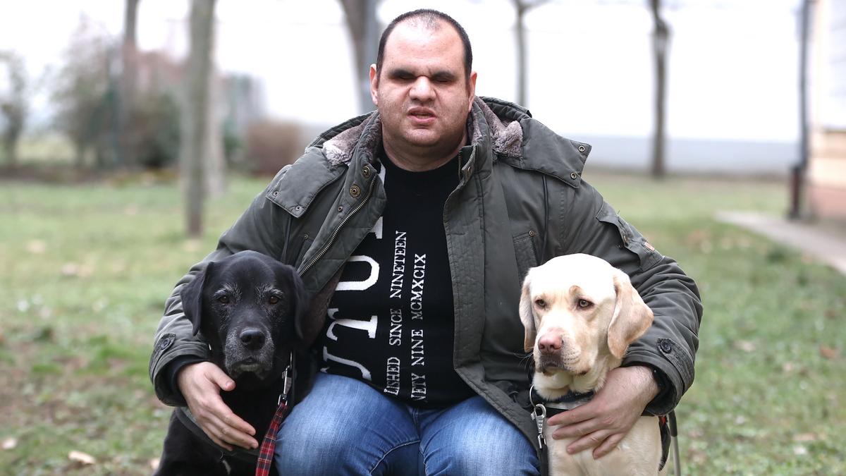 A vakvezető kutyák hőstettét filmezték – Ervin története