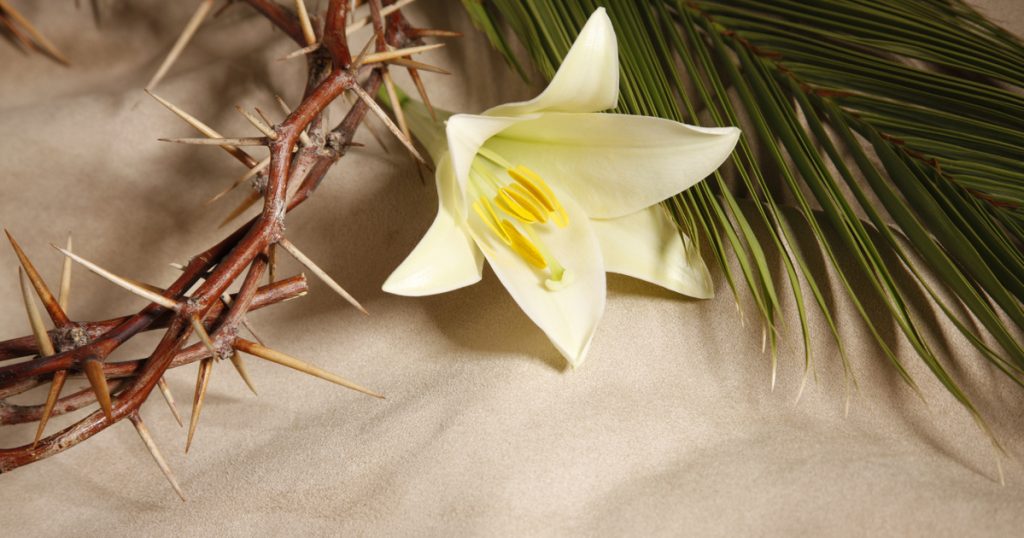 A Húsvéti Liliom: Hogyan Virágoztasd Meg Otthon