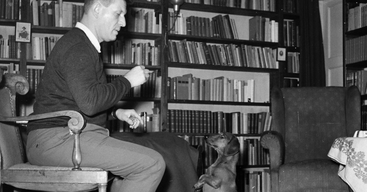 Az írók szeretete: kutyák, akik családtagokként éltek a híres magyar írók szívében