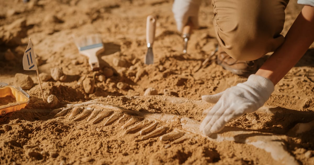 Az őskori rágógumi titokzatos világa: Tízezer éves darabokat találtak a régészek
