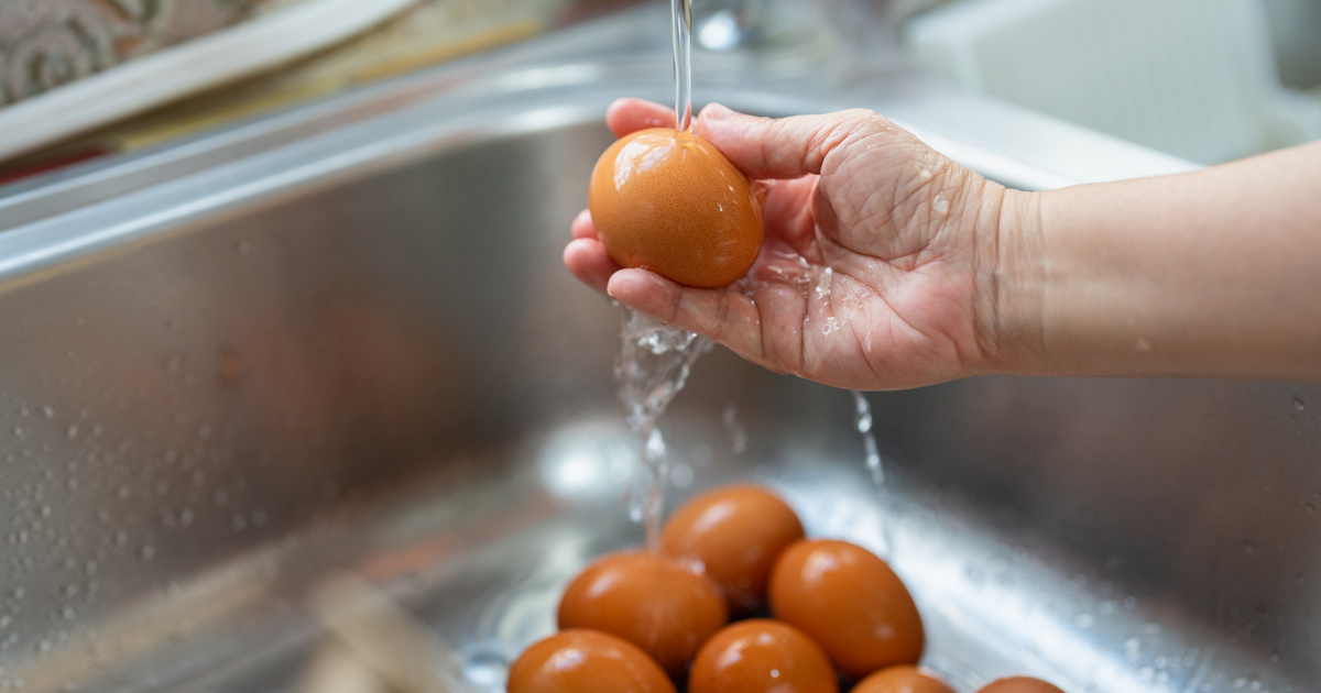 Hogyan mosd meg helyesen a tojást? 5 egyszerű szabály az egészség és esztétika érdekében