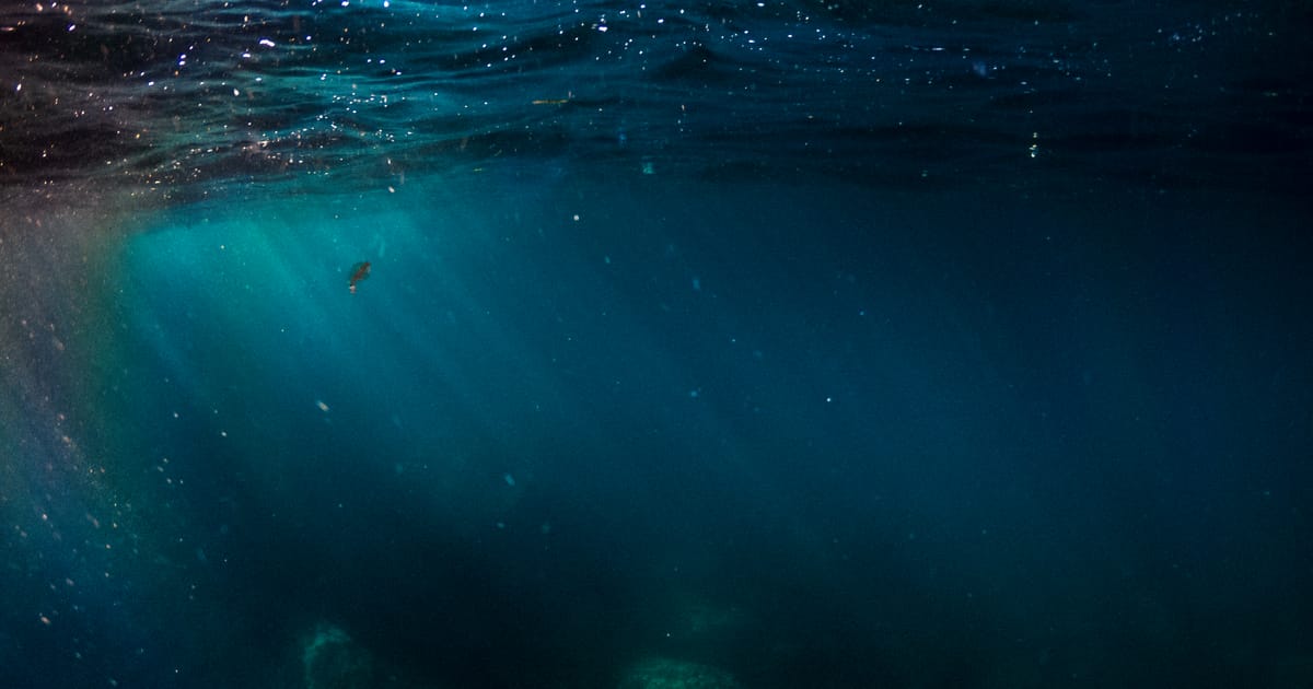 A titokzatos mélytengeri lény megdöbbentő felbukkanása: elképesztő fotók a kutatás eredményeként