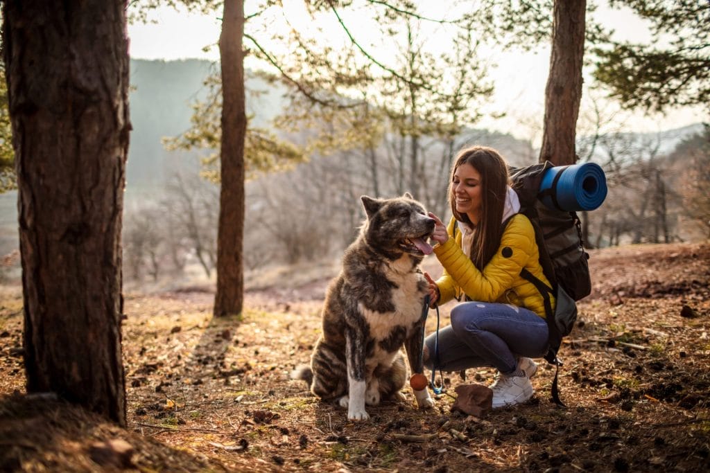 Utazás kutyával: 5+1 tipp, hogy gördülékeny legyen a kirándulás