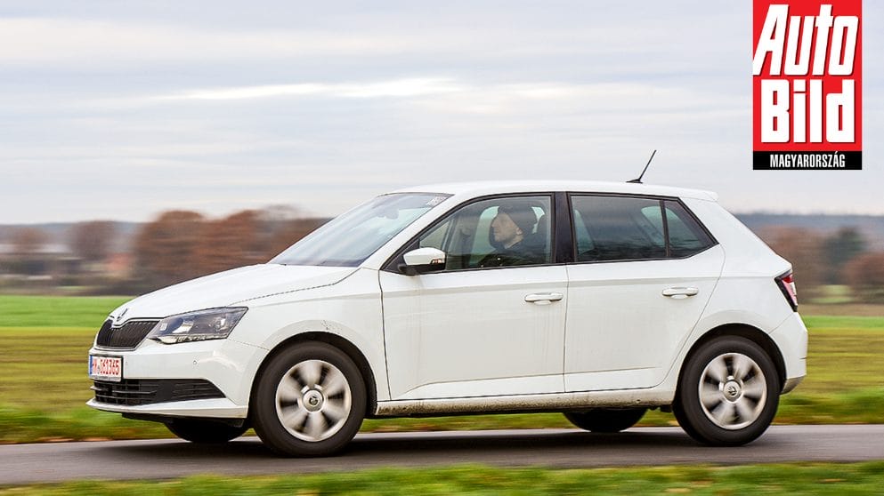 A használt Skoda-modellek teljes körű áttekintése: adatok, tények, árak