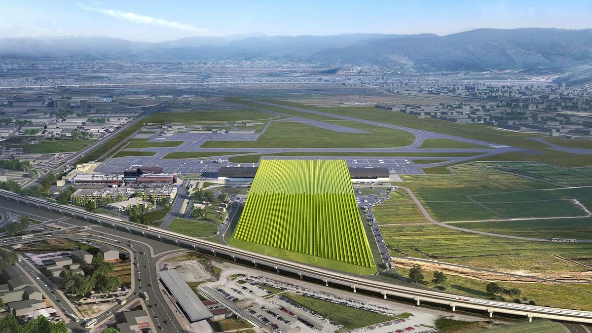 Az elképesztő szőlőültetvény a repülőtér tetején: egyedi látvány a levegőben!
