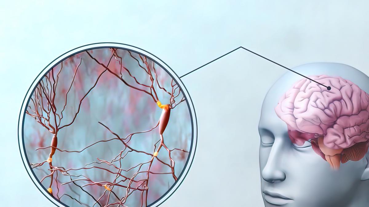 Az emberi agyszövet 3D-s nyomtatással: Az új technológia forradalmasíthatja az orvostudományt