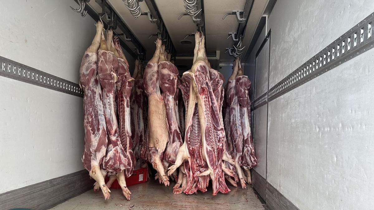 Horror a Teherautóban – Több tonna rothadt hús felfedezése sokkolta a hatóságokat és a közvéleményt