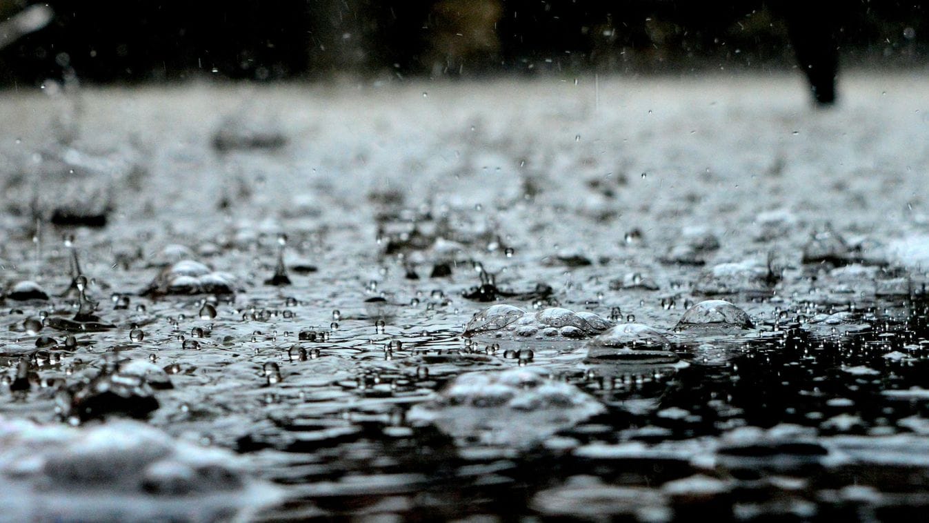 Viharos időjárás és új kihívások: Az esős napok nem hoznak könnyebb sorsot