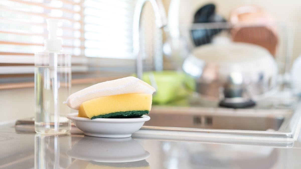 Az ijesztő igazság a konyhai mosogatószivacs titkairól