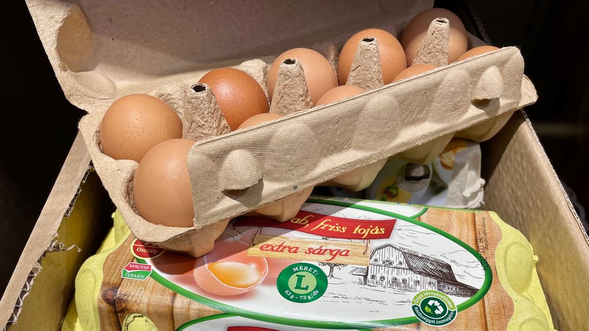 Merre tojásolhatunk most a legolcsóbban? - Két év alatt ennyit csökkent az ár