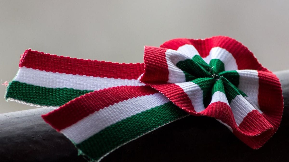A Google magyar zászlóba öltözött – Különleges megemlékezés a magyar kultúráról