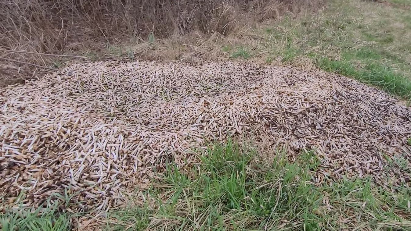 Illegális szemétlerakók visszatérése a csonthegyhez: Megdöbbentő felfedezések a területen – Videó