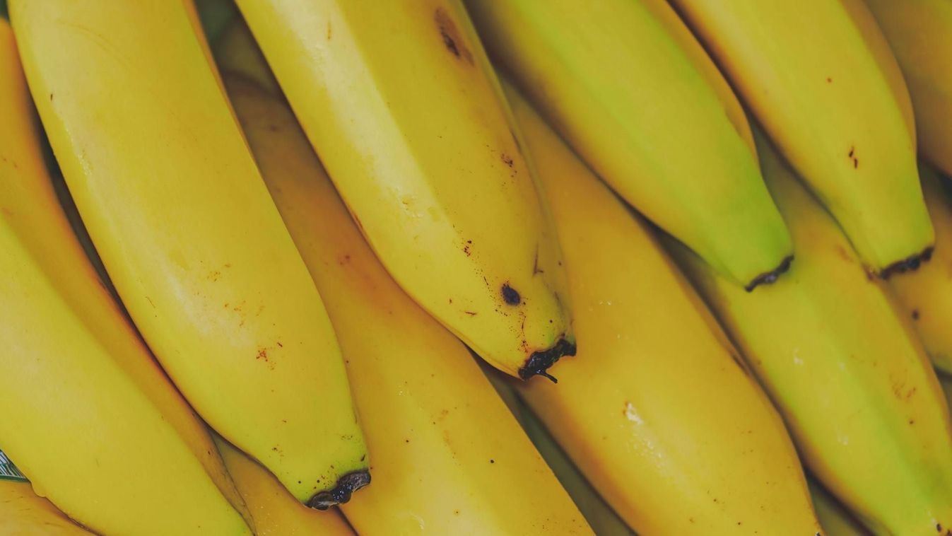Varázslatos banántündér: Így szabadulhat meg örökre a megbarnult banánoktól!