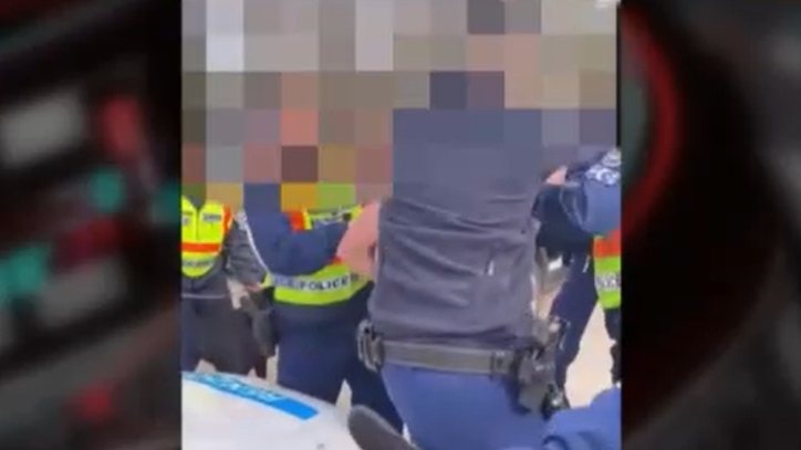 Kerepesen történt rendőri intézkedés durva kimenetele: tömegbunyóban sérültek és kórházba kerültek - Videófelvételek a botrányról