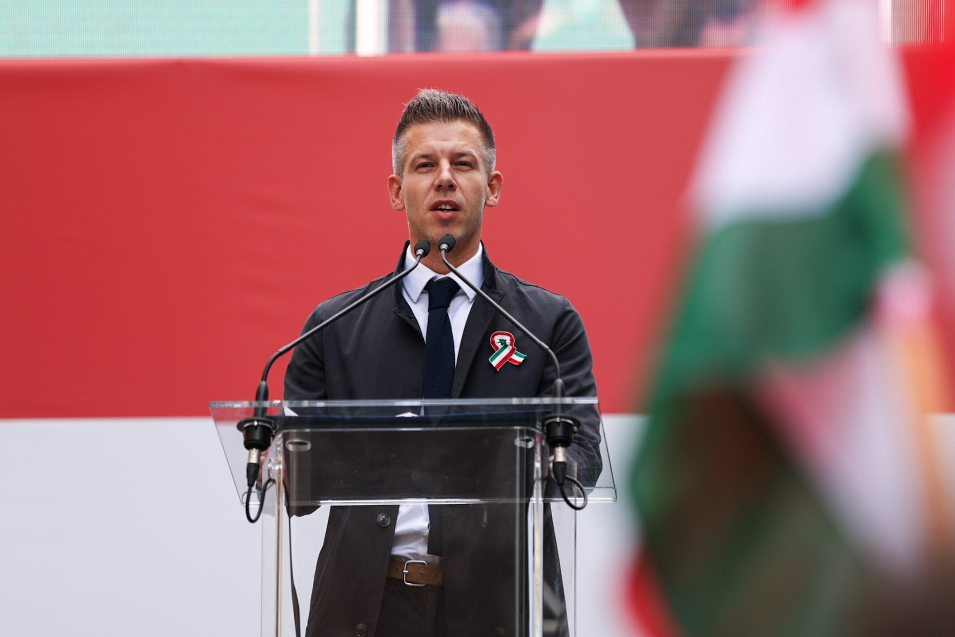 Magyar Péter büszkén vállalta a hatalmas tömeg előtt a 12 pontos programot