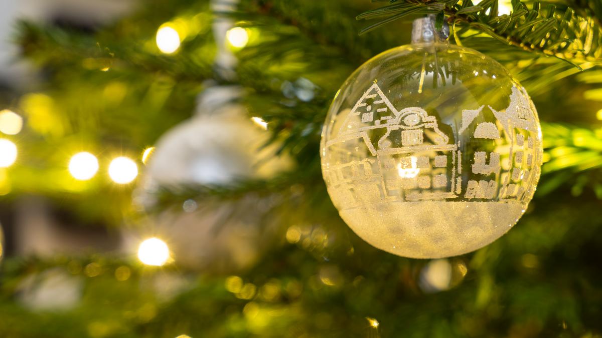 Elszomorító látvány: kidobtak egy elszáradt karácsonyfát Erzsébetvárosban - fotó