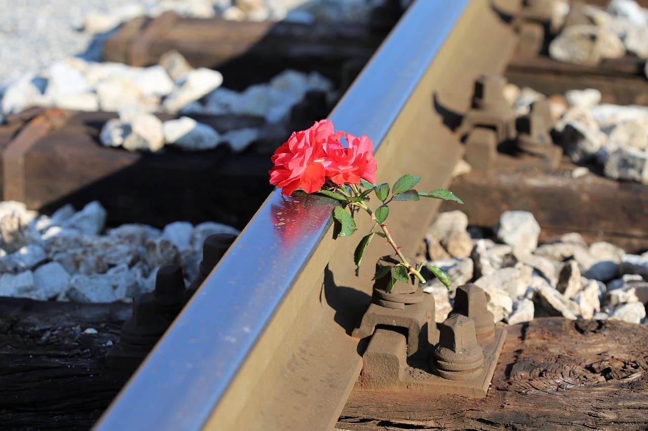Vonat halálos balesetet okozott: egy kisgyerek és egy nő az áldozatok között