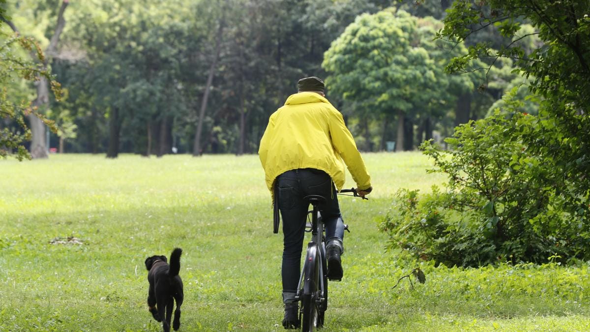 A tavasz bizonyítja erejét: melegrekordok döntenek az indulás első napján