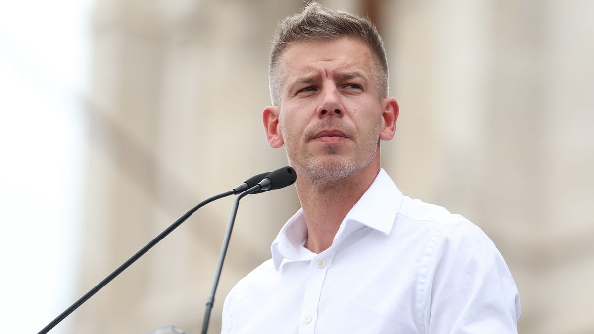 Magyar Péter pártjának esélyei az Európai Parlamentbe jutásra
