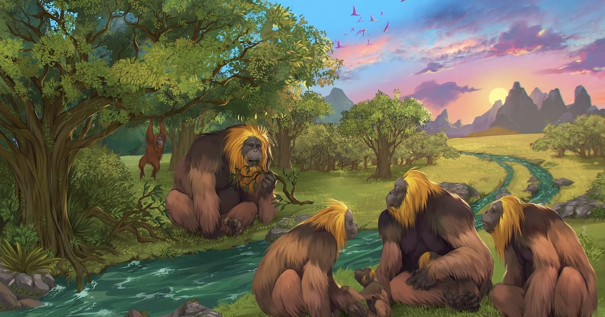 A válogatós őskori King Kong végzete