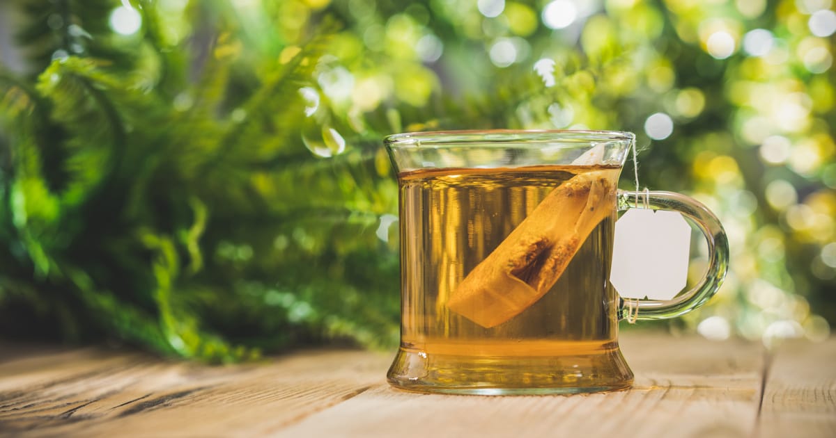 A használt teafilter kincse a kertednek - Ne dobd ki!