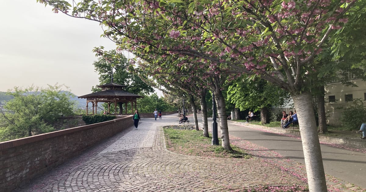 Virtuális időutazás a budapesti sétány történetében: több mint 100 éves fotóval!