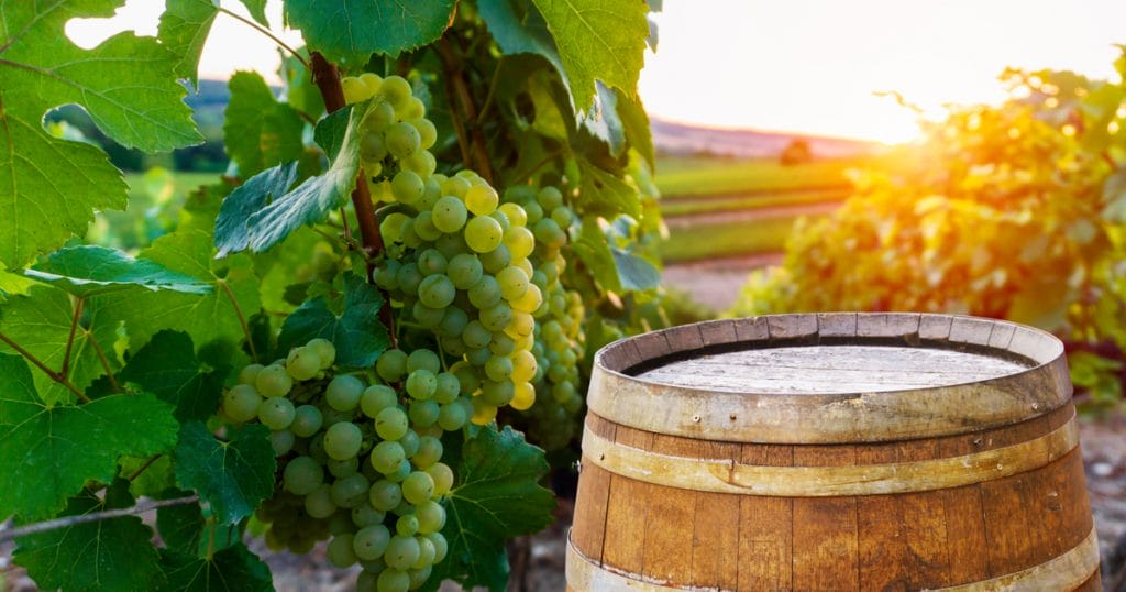 A Tokaji bor veszélyben: hogyan őrizhetjük meg ezt a kincset?