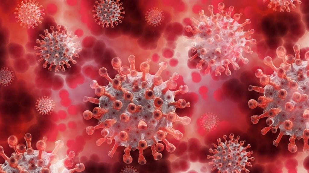 Vigyázat: Ez az új vírusok listája, amelyeketől újabb világjárvány fenyegethet