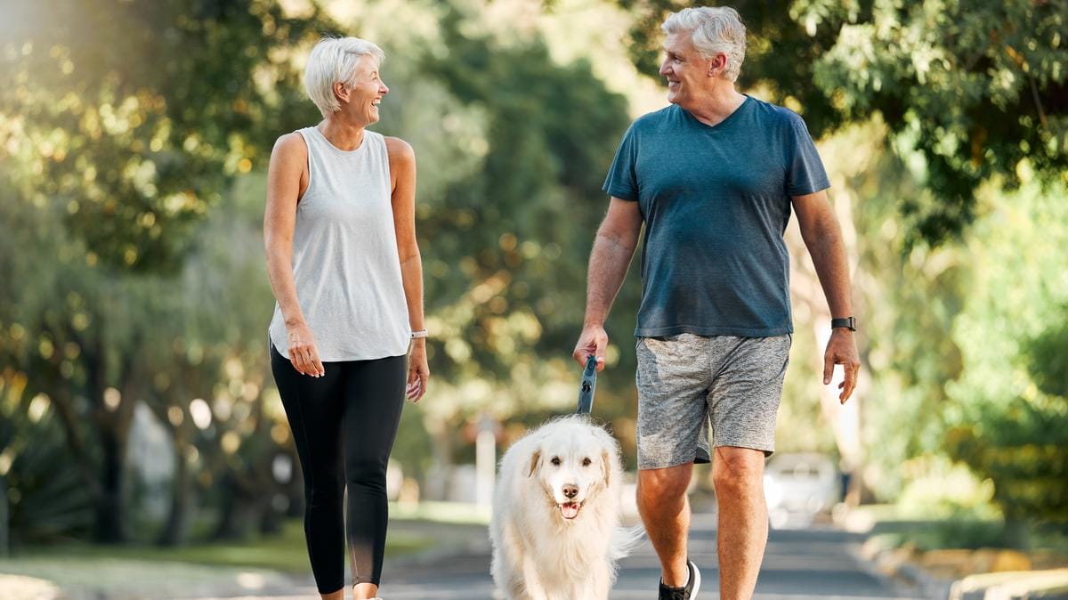 Hatékony zsírégetés 50 felett: Hogyan segíthet a lassú séta?