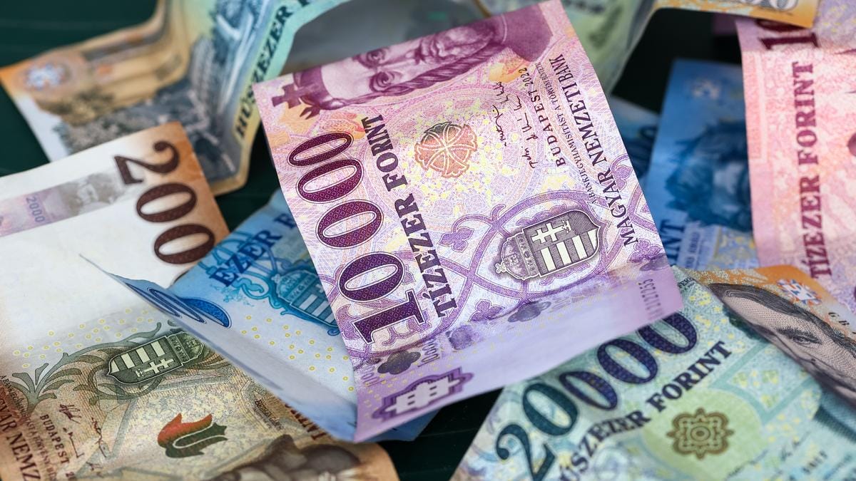 Vélemények számítanak: Támogatod az 50.000 forintos bankjegy bevezetését? - Szavazás