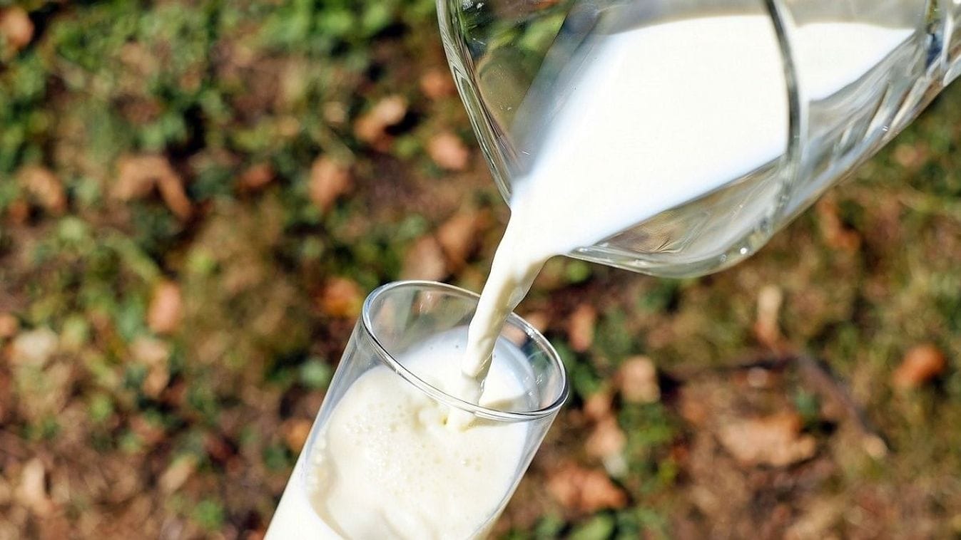 Az életed kockáztatod: SOHA ne tedd a tejet a hűtő ajtajának polcára!