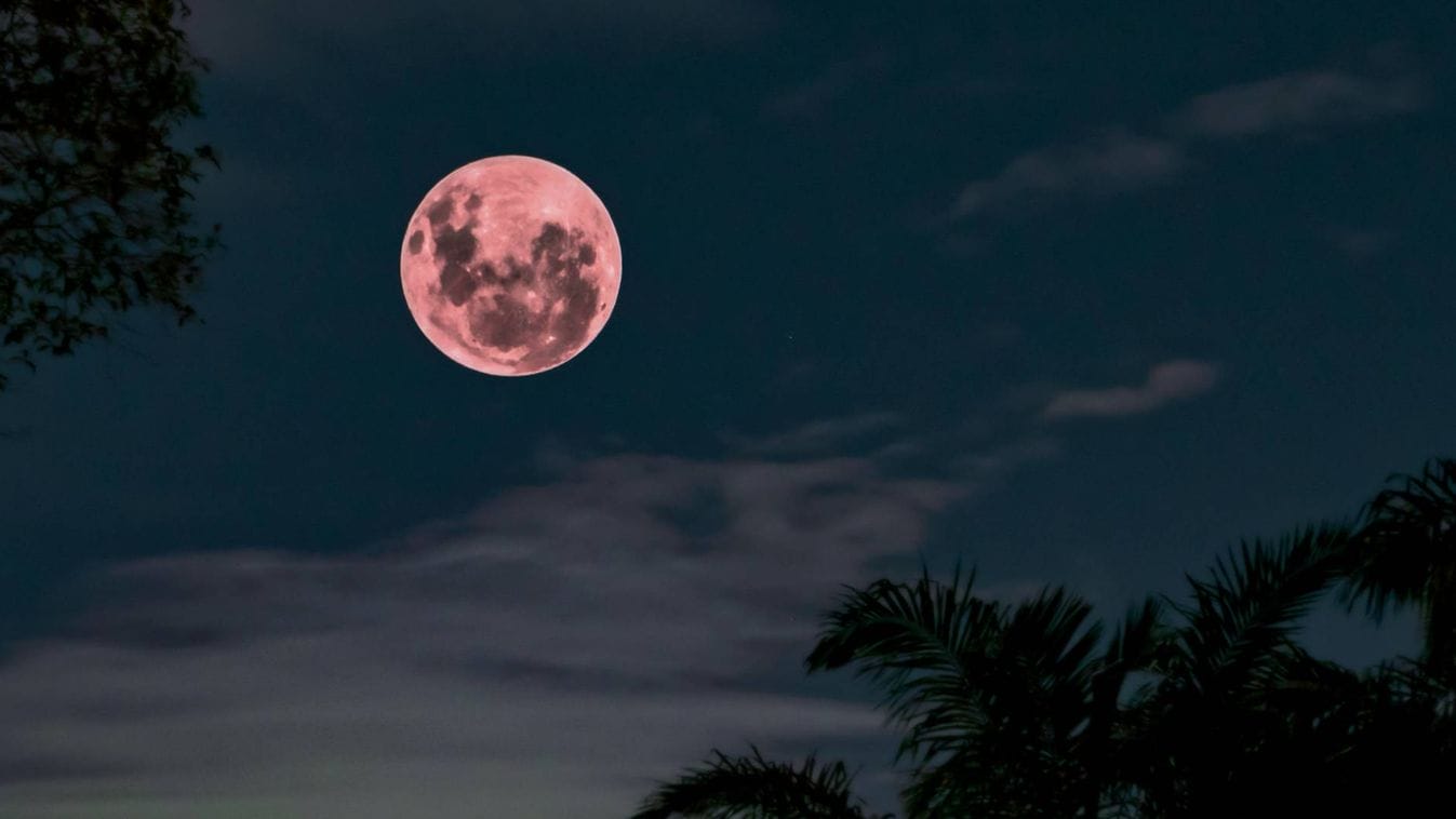 A Rózsaszín Hold hatása: 3 csillagjegy, akikre áprilisban különleges változás vár