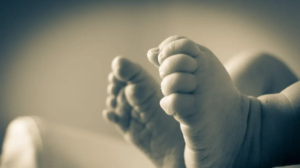 A megható történet a hatvani babamentő inkubátorral: Újabb életmentő helyet kaptak a csecsemők