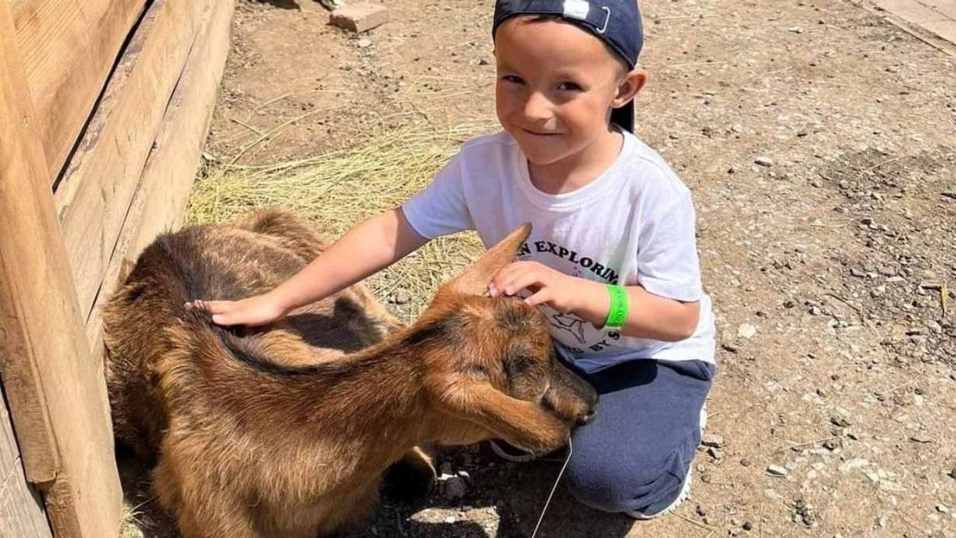 Életmentő lehetőség: 12 órás műtét segíthet a kis Máté gyógyulásában