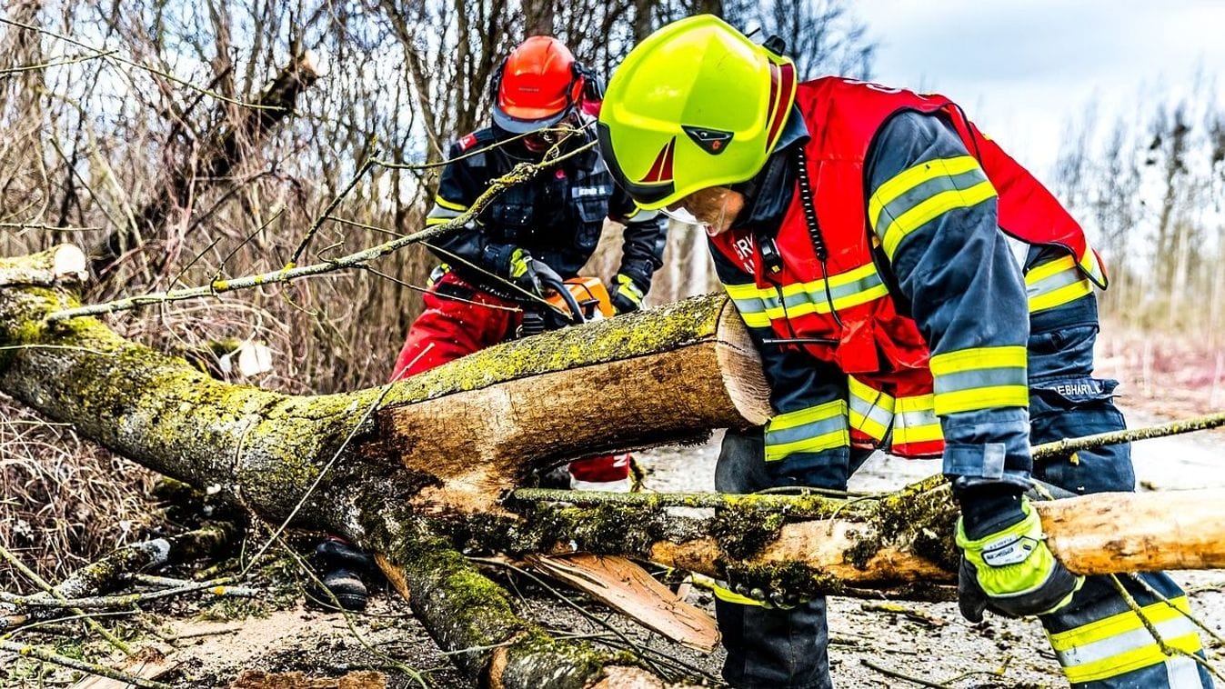 Tragikus kimenetel: 5 halott a vihar leveredése által kidőlt fák következtében